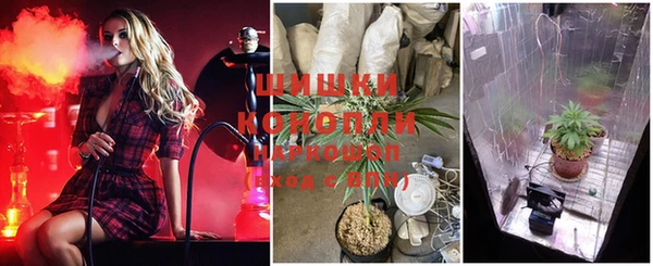 PSILOCYBIN Домодедово