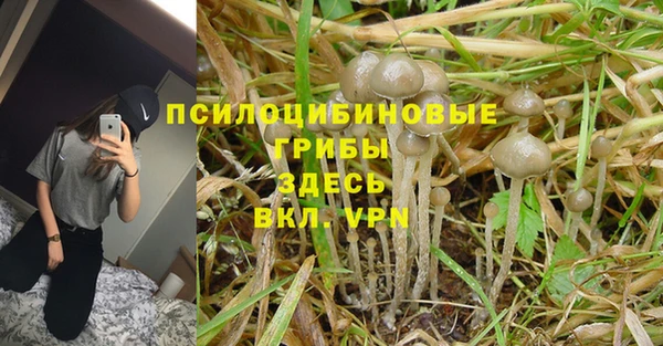 винт Переславль-Залесский