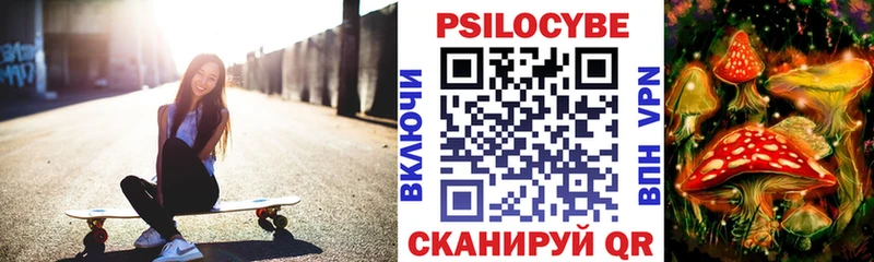 купить закладку Тулун Псилоцибиновые грибы GOLDEN TEACHER