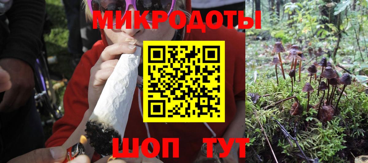 Галлюциногенные грибы MAGIC MUSHROOMS  Вход с VPN  купить   Тулун 